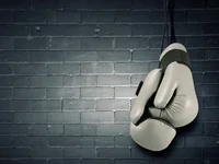 Boxen Wetten